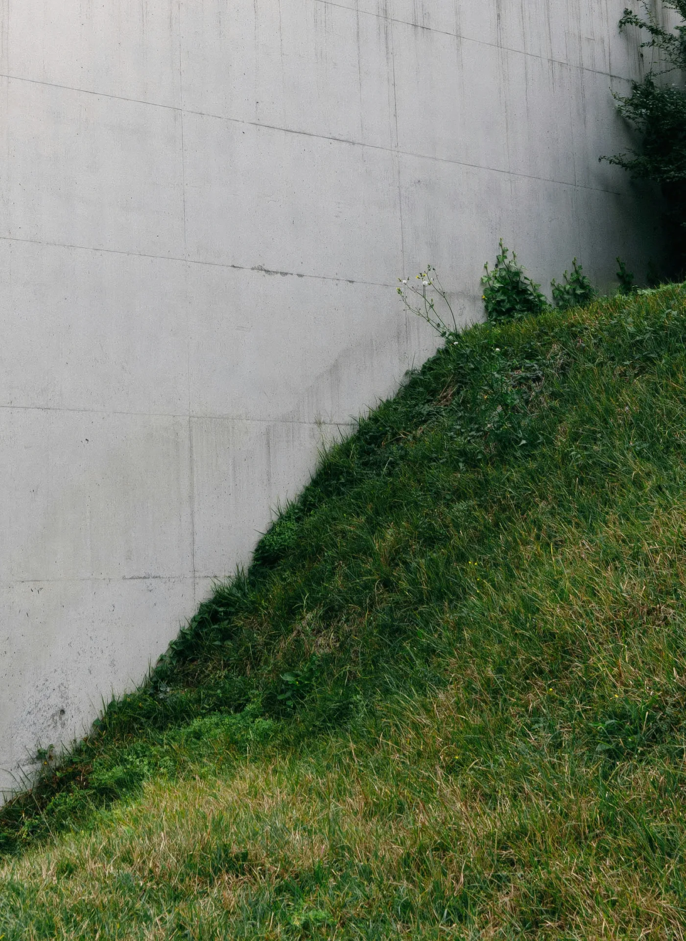 poured concrete retaining wall at a Oshawa home